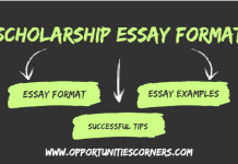 Best Scholarship Essay Format | Examples and Templates Scholarship Essay Format