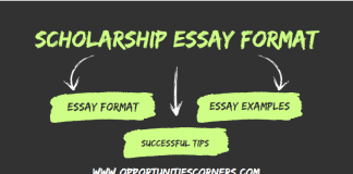 Scholarship Essay Format
