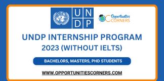 UNDP Internship 2023