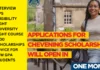 Chevening Scholarship 2025 Tips