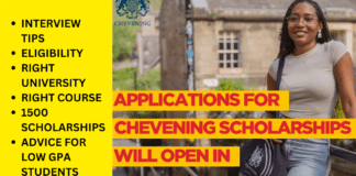 Chevening Scholarship 2025 Tips