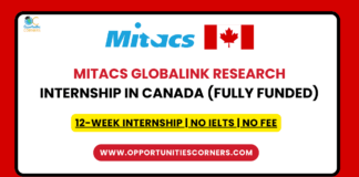 MITACS Globalink Research Internship 2026