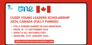 CUSEF Young Leaders Scholarship 2024