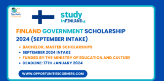 Finland Government Scholarship