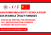 Shandong University Scholarship 2024