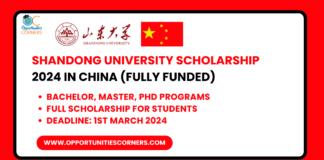 Shandong University Scholarship 2024
