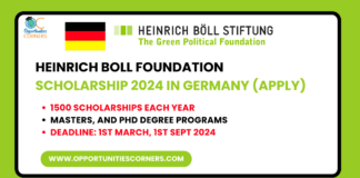 Heinrich Boll Foundation Scholarship 2024