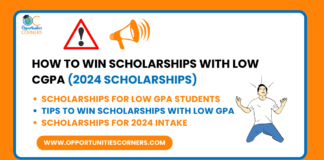How to Win Scholarships With Low CGPA