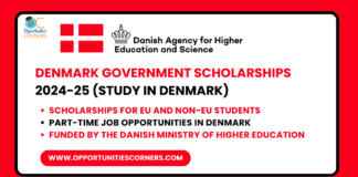 Denmark Government Scholarships