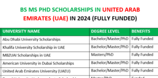 BS MS PhD Scholarships in UAE in 2024