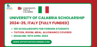 University of Calabria Scholarship 2024