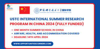 USTC International Summer Research Program