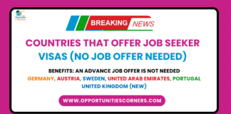 List of Countries that offer Job Seeker Visas