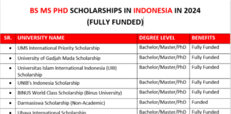 BS MS PhD Scholarships in Indonesia in 2024