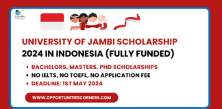 University of Jambi Scholarship 2024