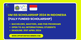 UM ISS Scholarship 2024
