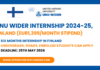 UNU Wider Internship