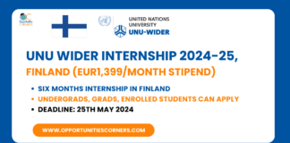 UNU Wider Internship