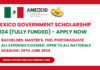 Mexico Government Scholarship 2024