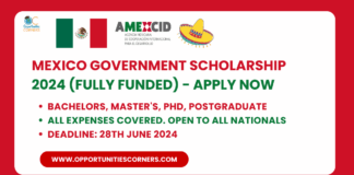 Mexico Government Scholarship 2024