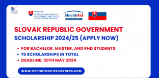 Slovak Republic Government Scholarship
