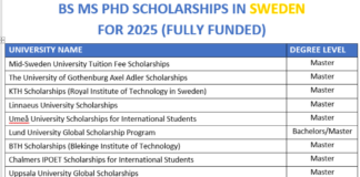 BS MS PhD Scholarships in Sweden