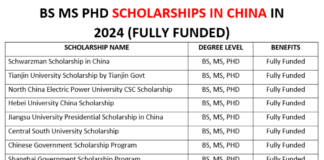BS MS PhD Scholarships in China