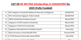 BS MS PhD Scholarships in Singapore