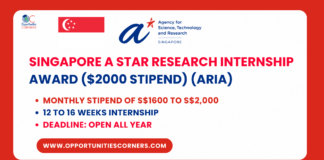Singapore A Star Research Internship Award