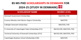 BS MS PhD Scholarships in Denmark