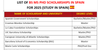 BS MS PhD Scholarships in Spain
