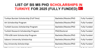 BS MS PhD Scholarships in Turkiye
