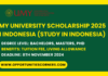 UMY University Scholarship 2025