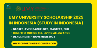 UMY University Scholarship 2025