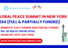 Global Peace Summit in New York 2024