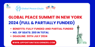 Global Peace Summit in New York 2024