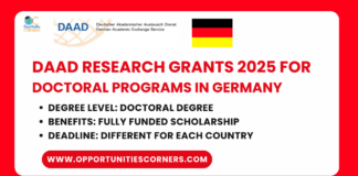 DAAD Research Grants 2025 for Doctoral Programs in Germany