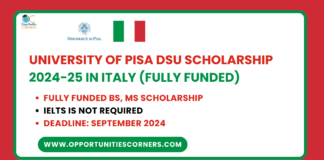 University of Pisa DSU Scholarship