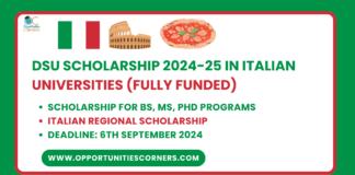 DSU Scholarship 2024