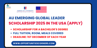 AU Emerging Global Leader Scholarship