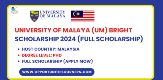 University of Malaya (UM) Bright Scholarship