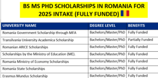 BS MS PhD Scholarships in Romania
