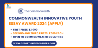 Commonwealth Innovative Youth Essay Award