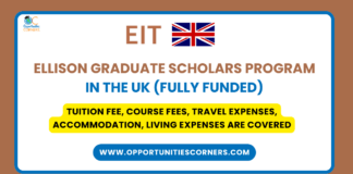 Ellison Graduate Scholars Program 2026