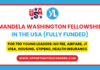 Mandela Washington Fellowship