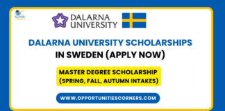Dalarna University Scholarships