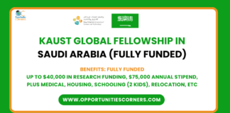 KAUST Global Fellowship 2026