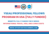 YSEALI Professional Fellows Program