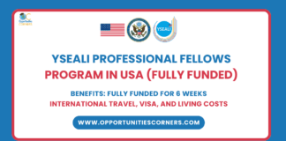 YSEALI Professional Fellows Program