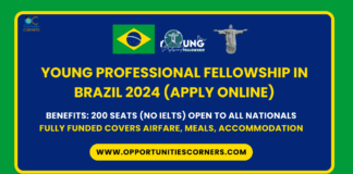 Young Professional Fellowship in Brazil